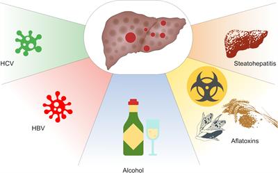 Heat Shock Protein 60 in Hepatocellular Carcinoma: Insights and Perspectives